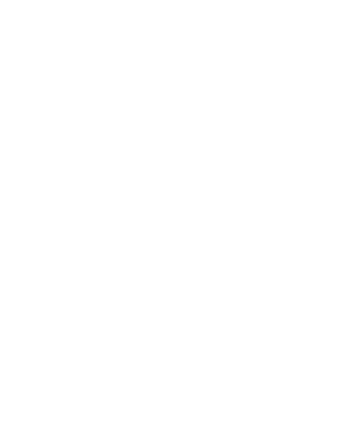 App Store